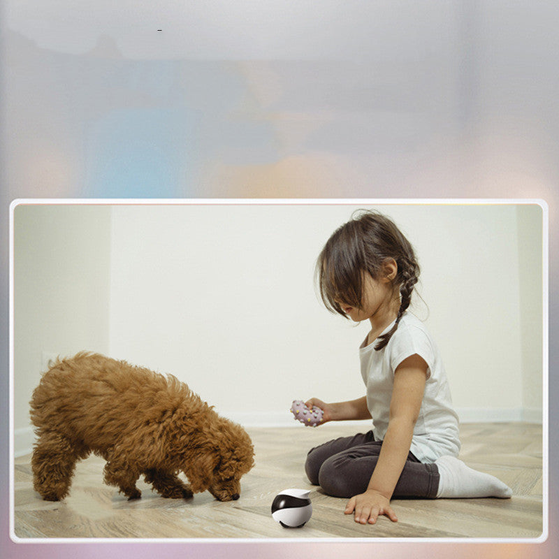 Home Robot Pet Monitoring Mobile Camera