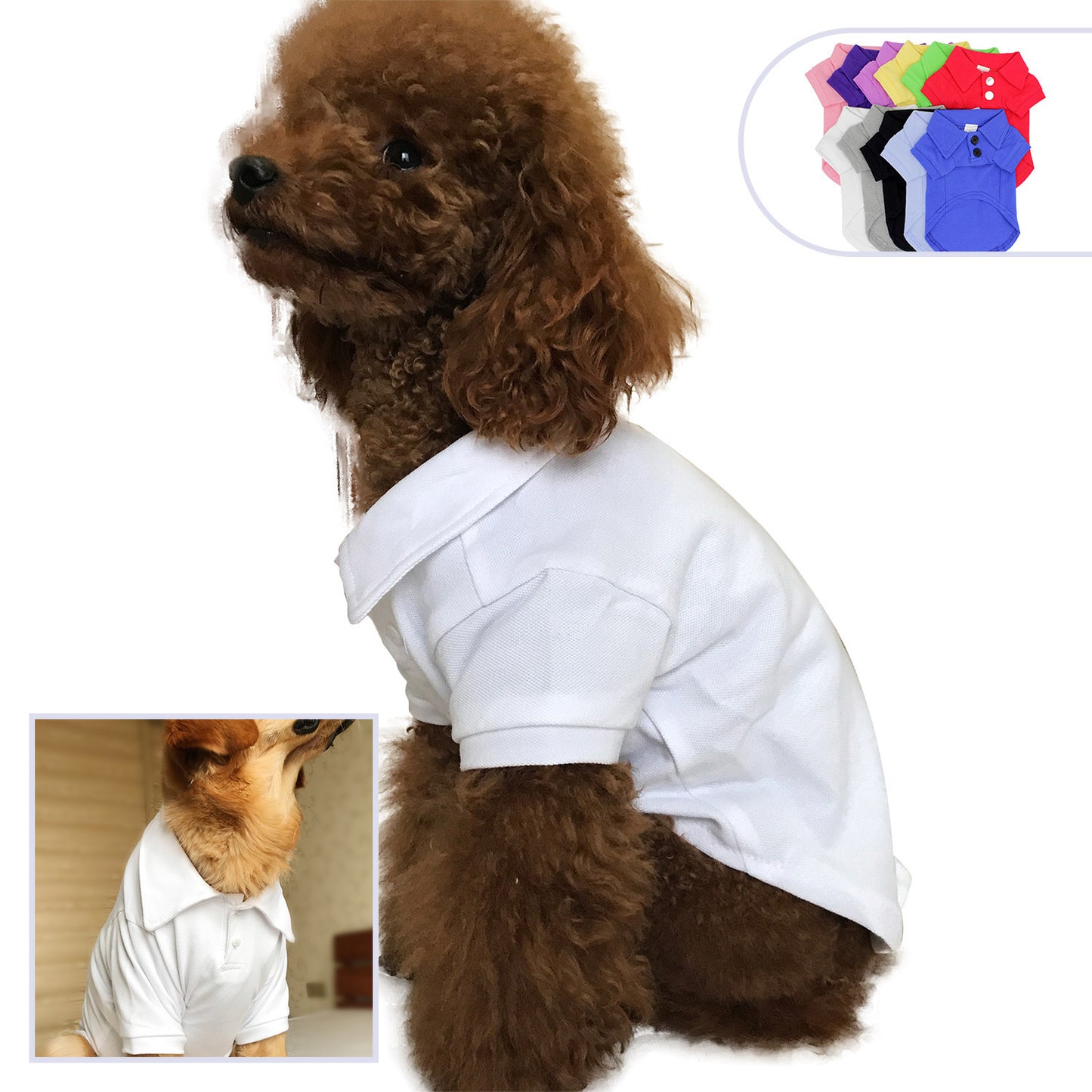 Pet clothing polo shirt