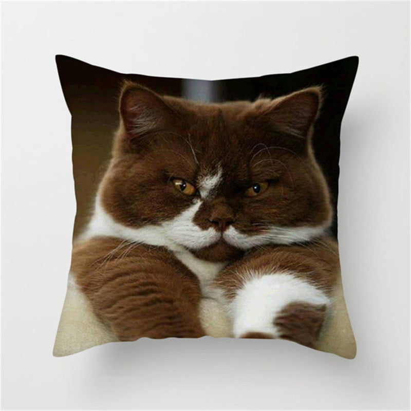 Cute cat trend pillowcase