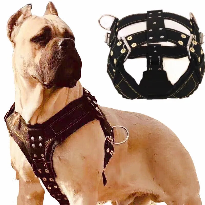 Dog Harness For Large Dog,Pit Bull Dog Harness Large Dog Collar Wholesale Leash Dog Vest Collar Fashion Pet Products Accessories